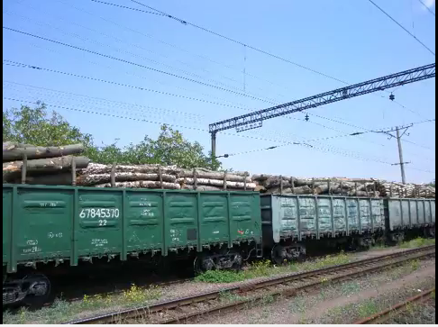 Закарпатська митниця недопустить незаконний експорт лісу з України