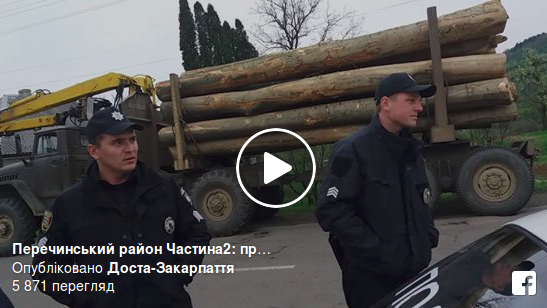 Закарпатські активісти затримали вантажівку кругляку (відео)
