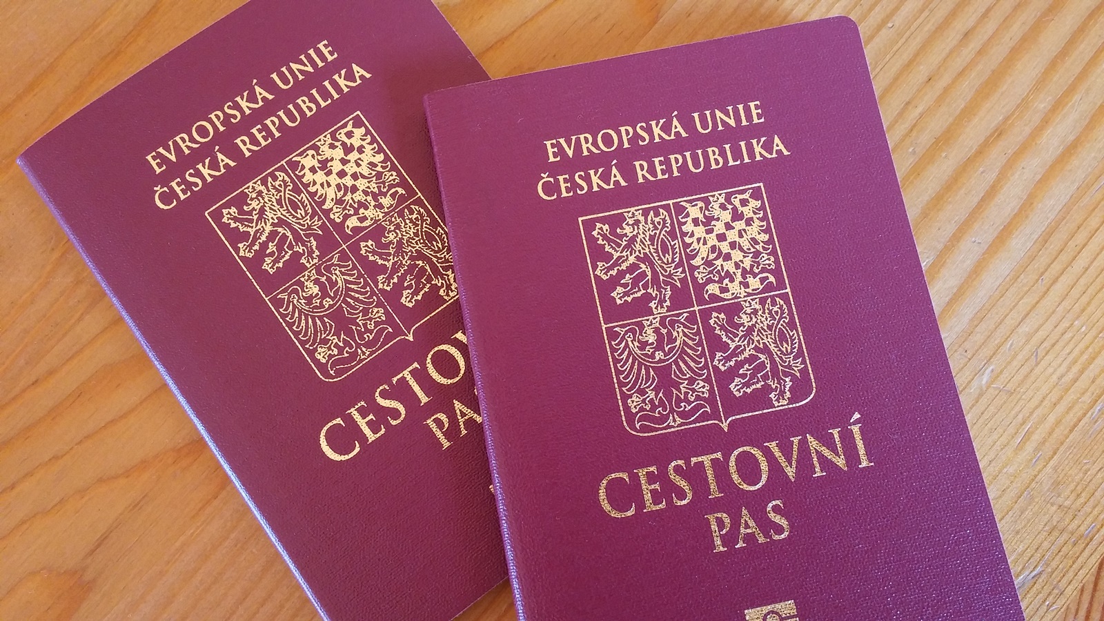 Чехія має намір спростити процедуру отримання громадянства закарпатцями