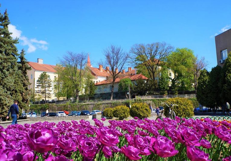 Квітуче весняне шаленство очима ужгородки Ольги Тимофієвої (фото)