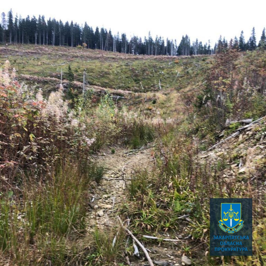 Троє посадовців лісового господарства на Закарпатті відповідатимуть перед законом за допущені незаконні вирубки зі збитками у 5,3 млн. грн.