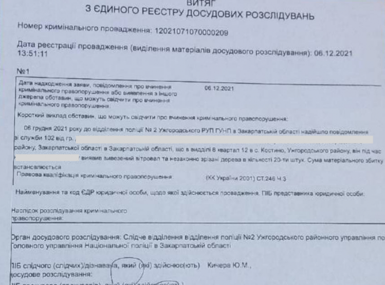 На території Ужанського нацпарку виявлено масову незаконну порубку деревини (документ)