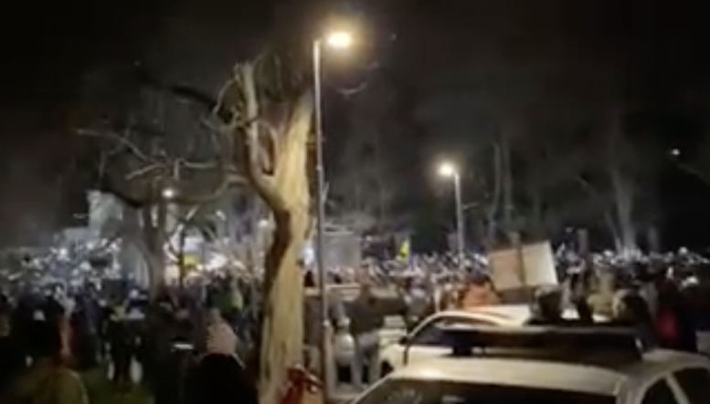Закарпатці долучилися до багатотисячного мітингу в Празі на підтримку України (відео)