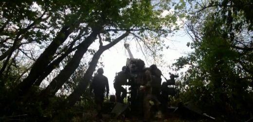 Бійці 128-ї Закарпатської бригади показали сучасні гаубиці M777, які вже на передовій (ФОТОФАКТ)
