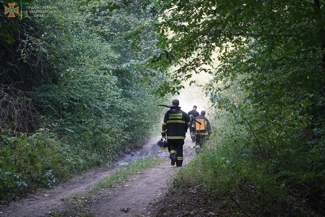 На Ужгородщині понад добу гасили лісову пожежу