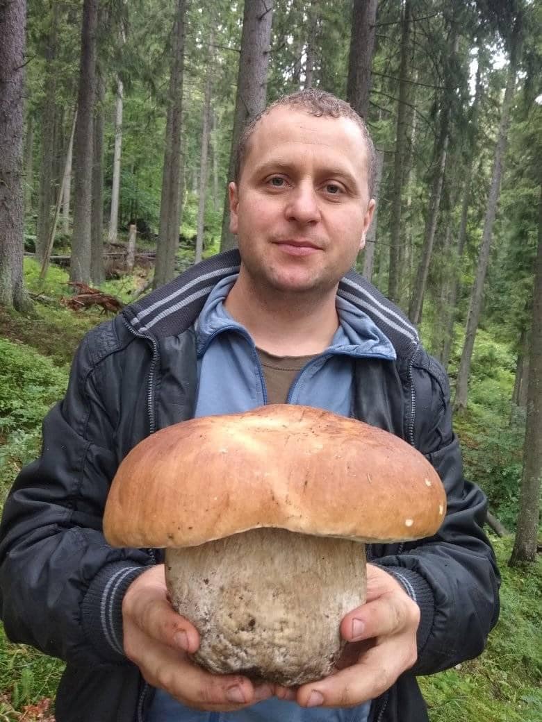 Працівник лісгоспу на Рахівщині знайшов велетенського гриба (ФОТОФАКТ)