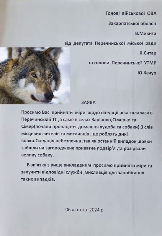Начальника Закарпатської ОВА просять вжити заходів для запобігання нападам вовків на території Перечинської ОТГ